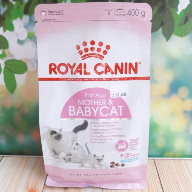 Royal Canin Mother Babycat First Age Dry Makanan Anak Kucing Umur Pertama 400gr Shopee Indonesia