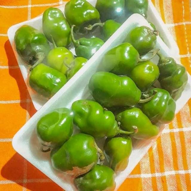 

CABE GENDOT 500 GRAM