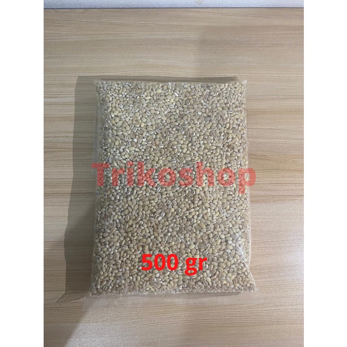 Jali Jali / Barley / Jelai / Hanjeli Import - 500 gr