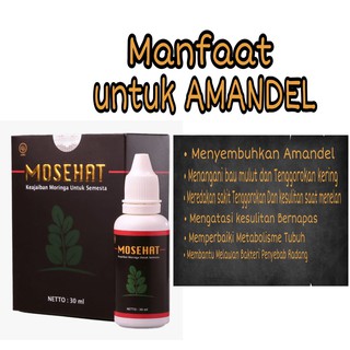  Obat  Amandel  Herbal Ampuh Mosehat Alami Aman Untuk  Anak 