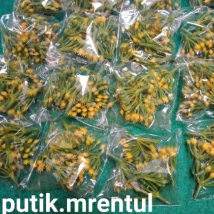 

putik mrentul