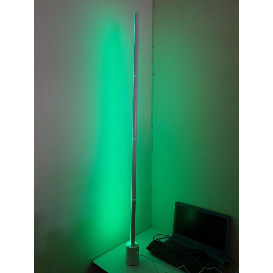 BARDI Standing RGB Flow Light