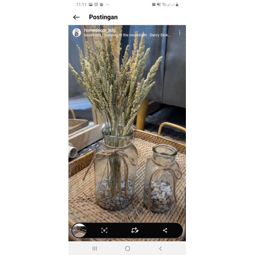 Vas bening tali rami