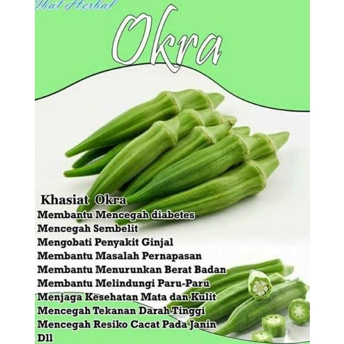 

866 Buah okra hijau segar✳ (Jual)Sale ↕