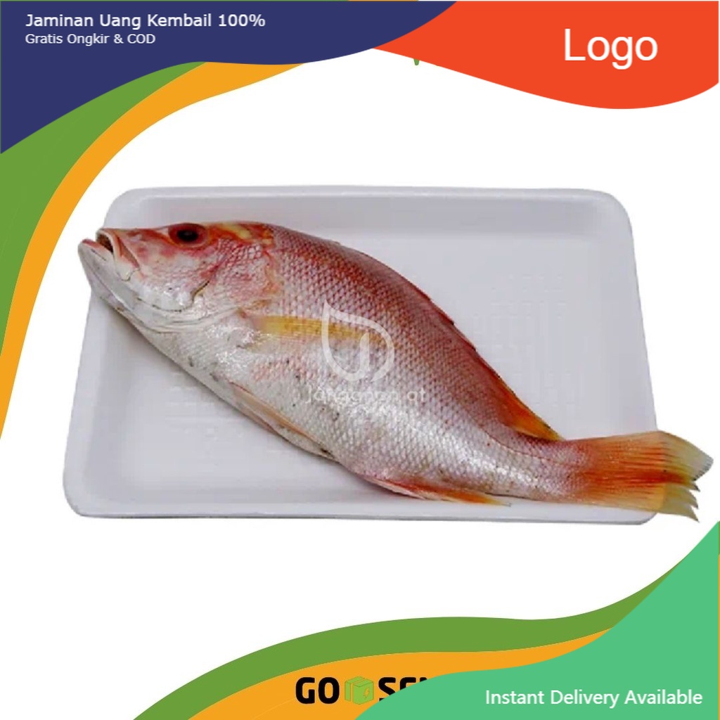 

Ikan Kakap Merah surabaya