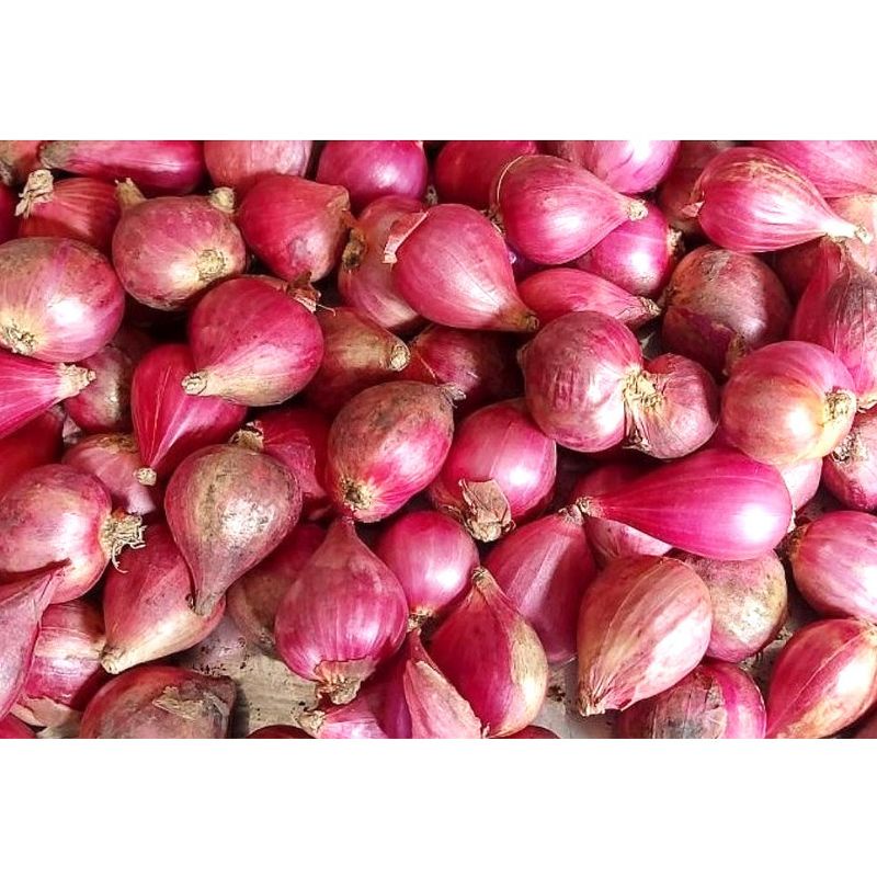 

bawang Merah Super 1 Kg