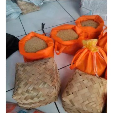 

telur jangkrik
