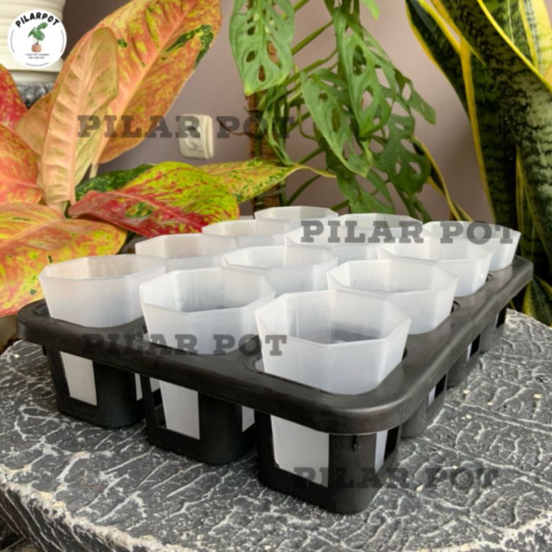 1 set tray + POT NKT PAGODA 5CM BENING TRANSPARAN | tray semai bibit