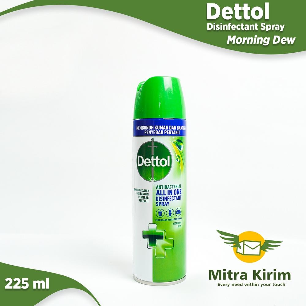 

Desinfektan Dettol Spray 225 ML (Selain Gojek/Grab) Packaging DUS + Bubble Wrap WL6AR10037