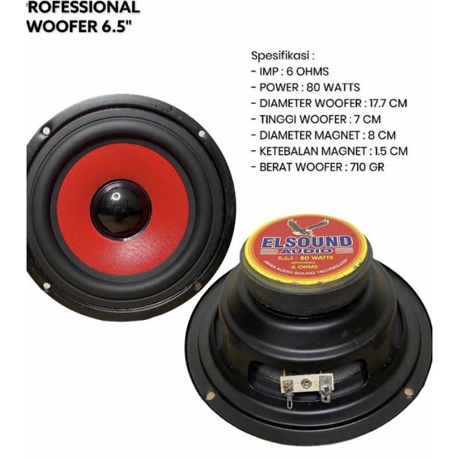 Woofer 6.5 inch elsound T2Q4