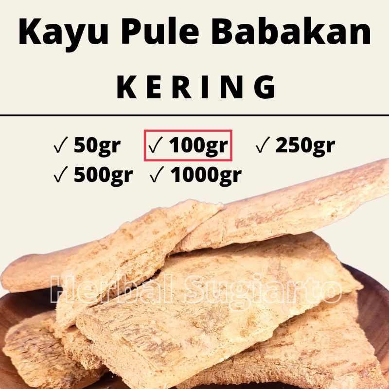 

GROSIR Kayu Pule / Babakan Pule 1kg 1000gr 500gr 250gr 100gr 50gr Kualitas BAGUS 100gr