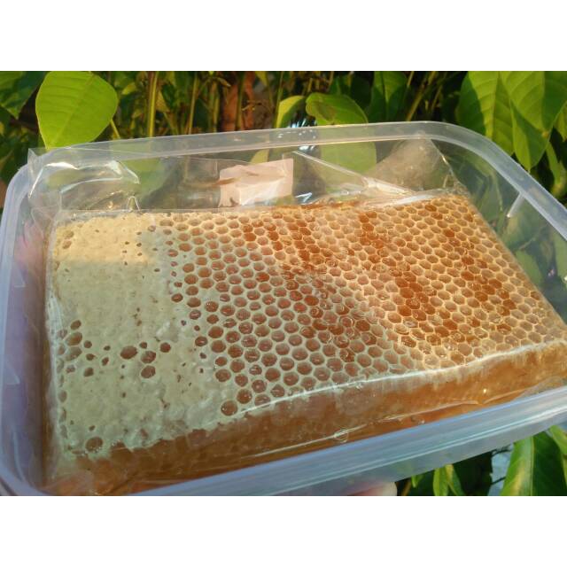 

Madu sarang