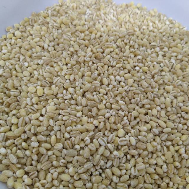 

Pearl Barley /Jali-Jali 500.gr
