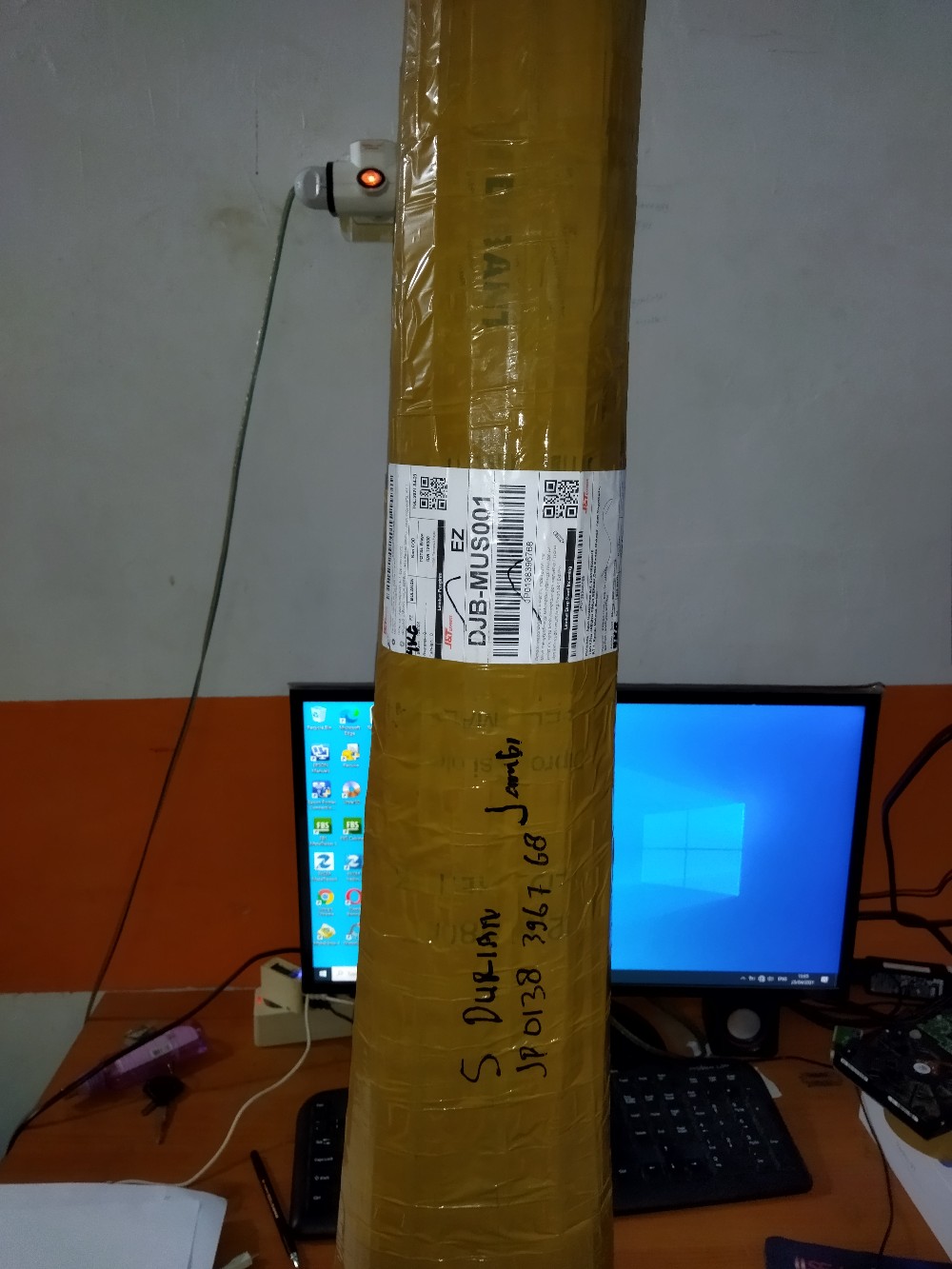 Bibit Durian Montong