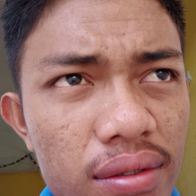 sarisartika720