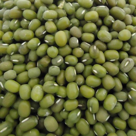 

Kacang Hijau 500 gr