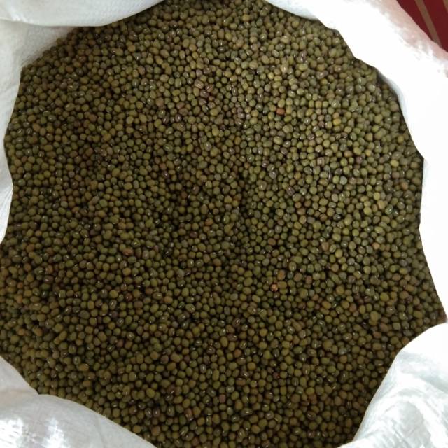 

Kacang Hijau Kiloan/250 Gr ( 1155 )