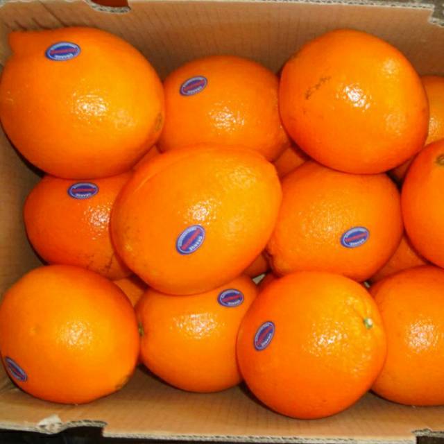 

Jeruk sunkist murah