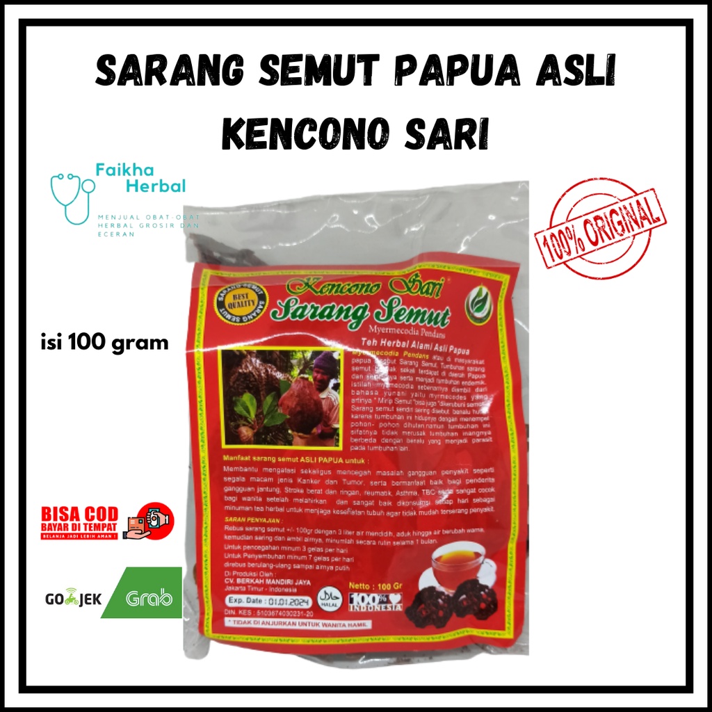 Sarang Semut Papua Asli Kencono Sari Curah / Sarang Semut Super Original Kencono Sari / Herbal Penya