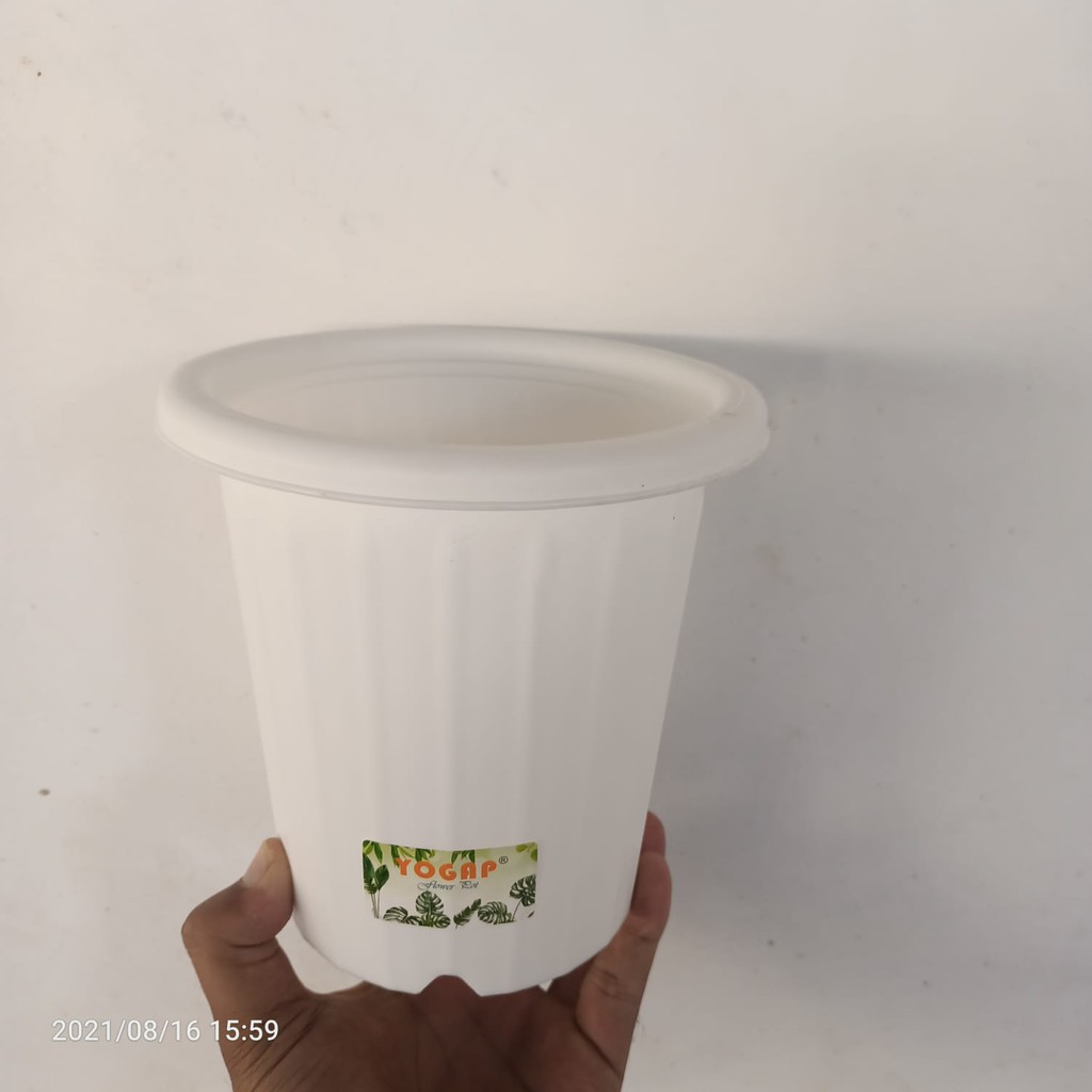 Pot yogap Bunga Aglonema ukuran 13
