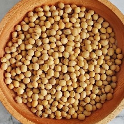 1KG KACANG KEDELAI TEMPE NON ( GMO )