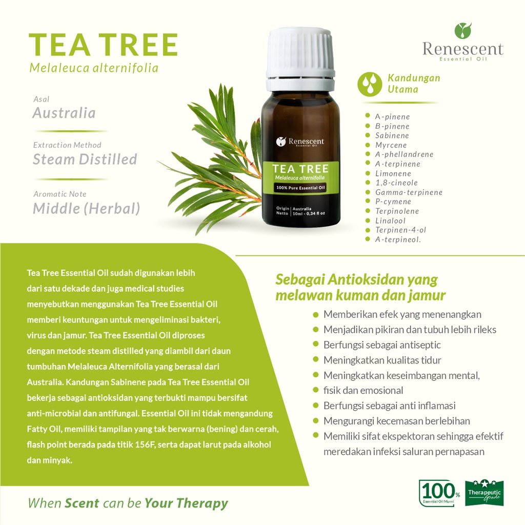 Renescent Tea Tree Pure Essential Oil 10ml Diffuser Aromatherapy Humidifier Air Purifier Lilin Aromaterapi