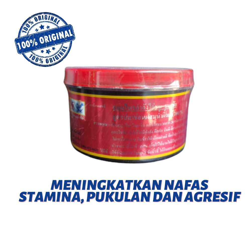 KAMLANG BASAH MERAH - persiapan laga