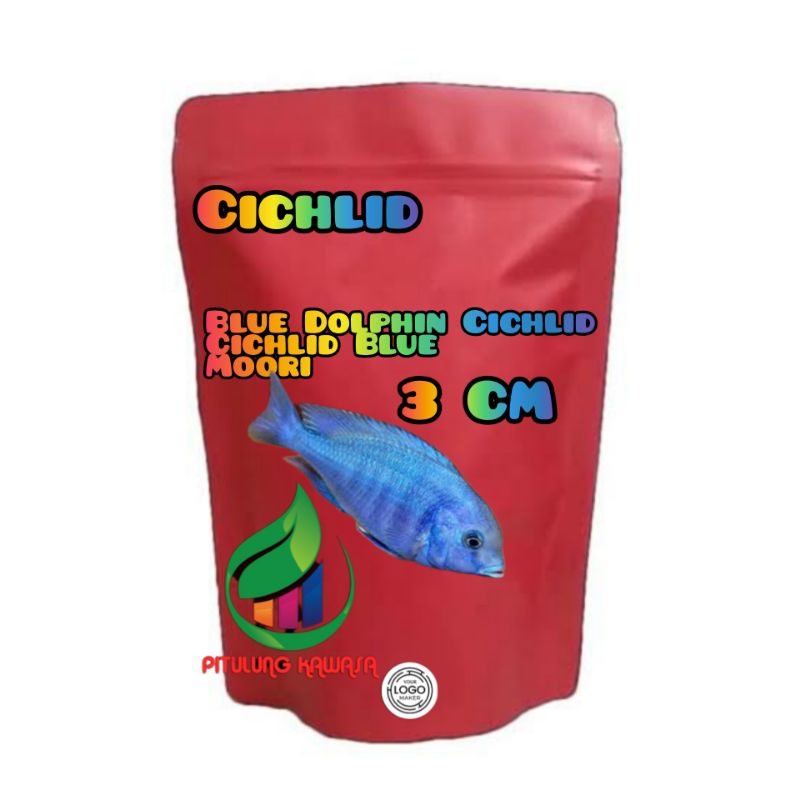 cichlid Blue Dolphin cyrtocara morri