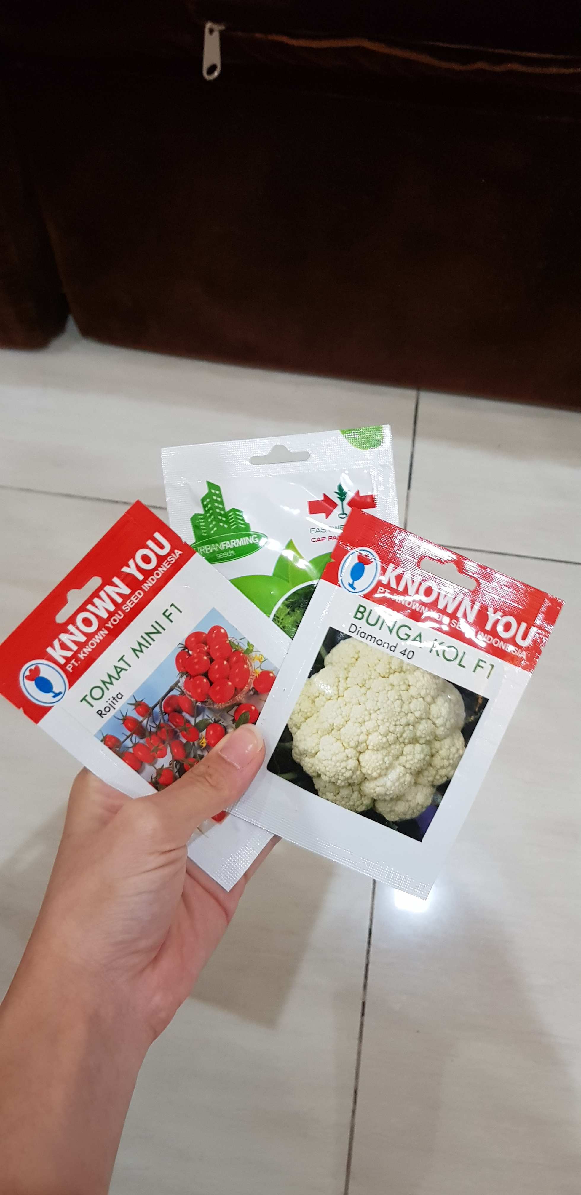 Benih Bibit Tomat Cherry Lonjong Rojita F1, Merk Known You Seed, Kemasan Asli