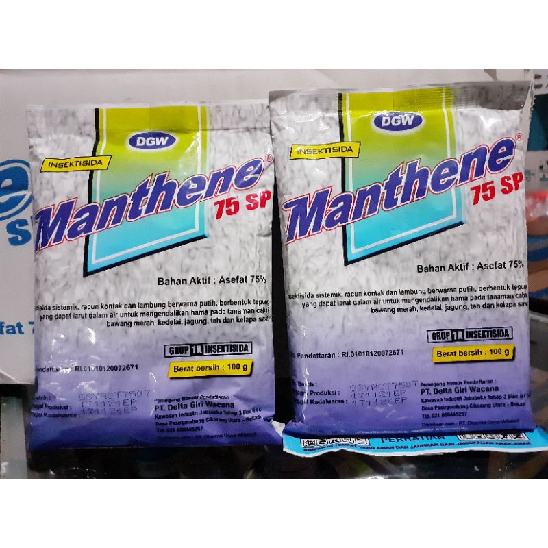 RACUN WALANG SANGIT MANTHENE 75 SP  100GR