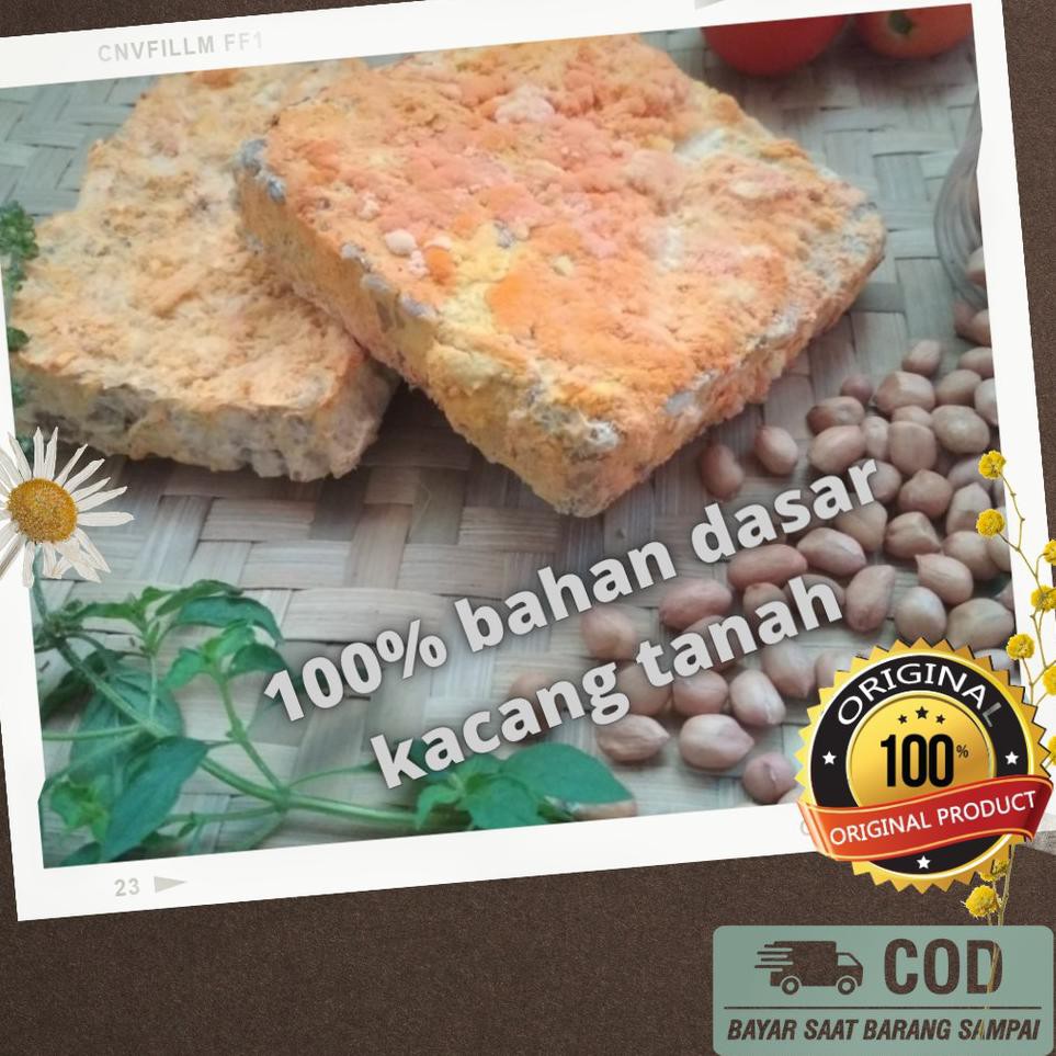 

VJA Oncom sumedang kering bandung makanan ringan siap saji bahan sambal ← (Terlaris)