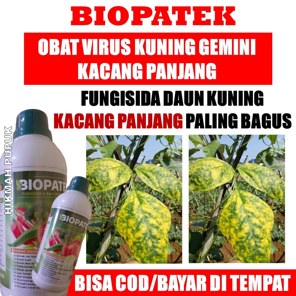 (BISA COD) BIOPATEK FUNGISIDA HAMA VIRUS KUNING/GEMINI KACANG PANJANG, Pupuk Hama Virus Kuning/Gemin