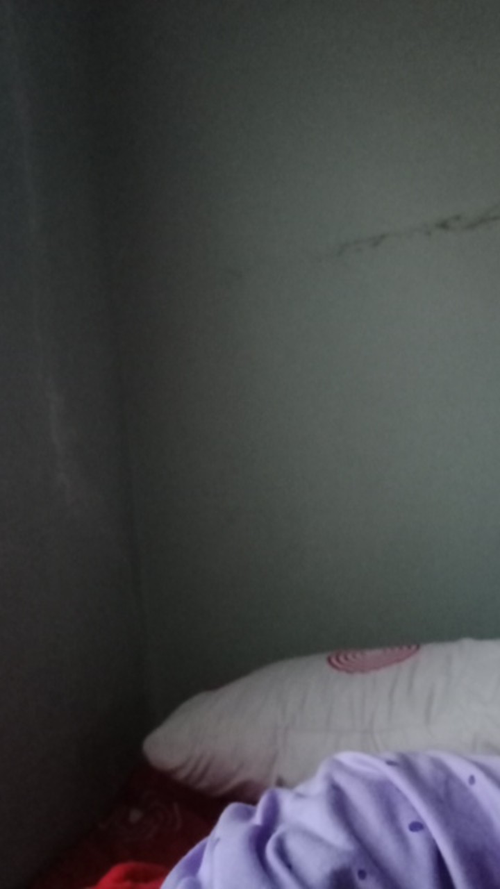 Spon / Busa Spon / Spon Piring / Spon Cuci Piring