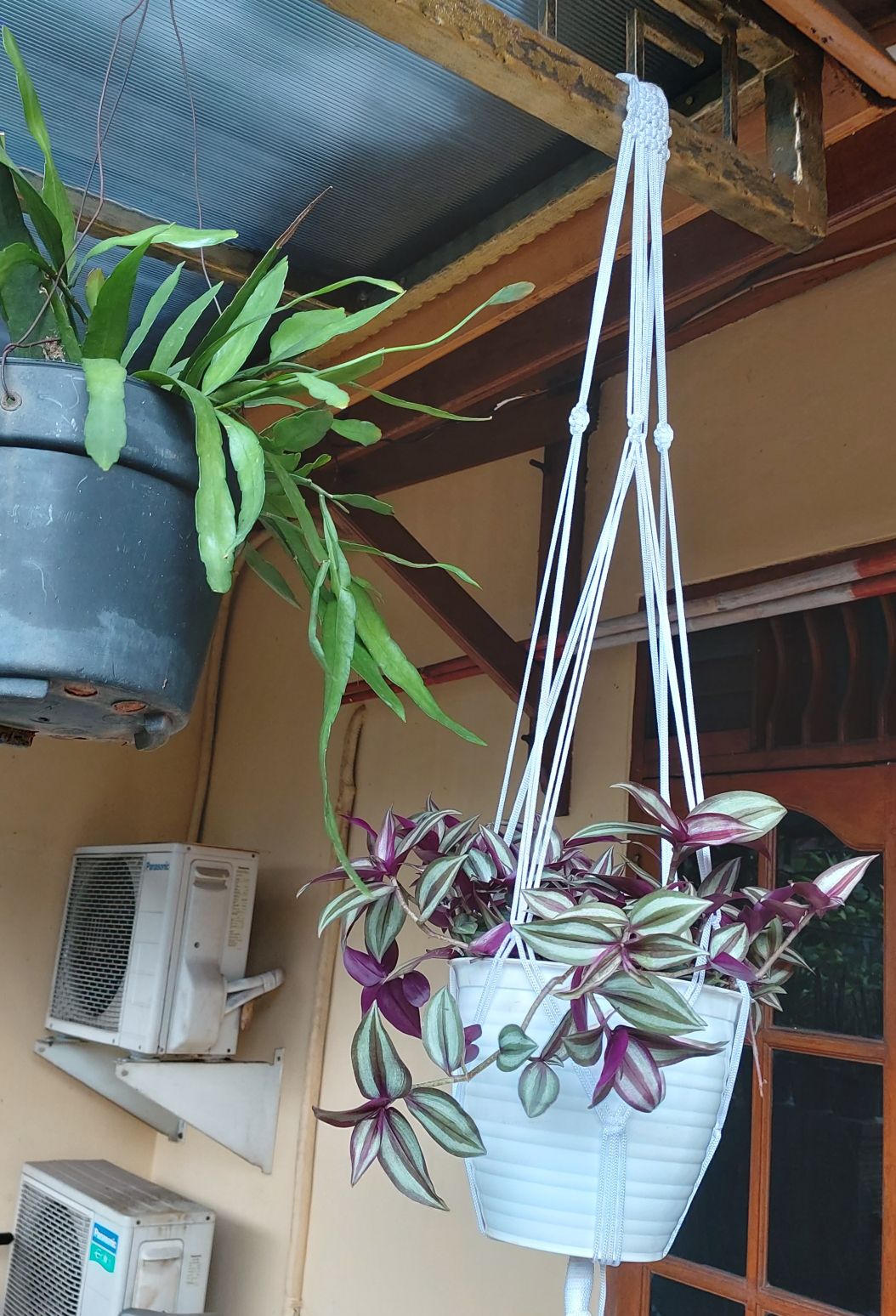 Gantungan Pot Murah Talikur