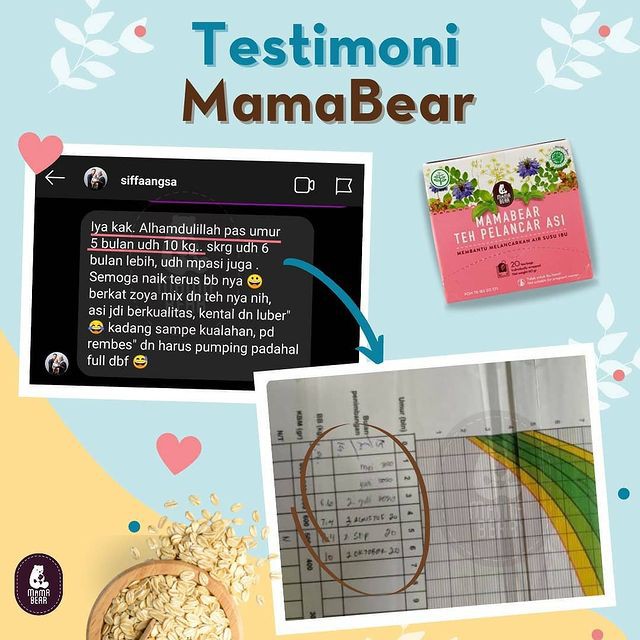 MamaBear Teh Pelancar ASI 60gr Nursing Tea For Healthy Lactation Mama Bear ASI Booster