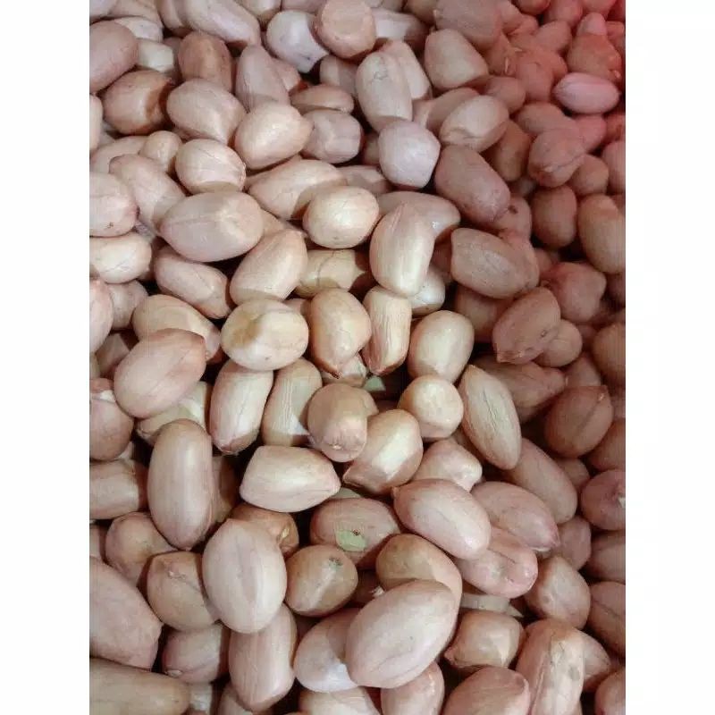 

KACANG TANAH MENTAH 1kg