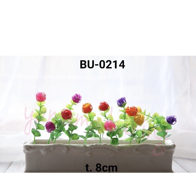 

rumput bunga bu 214
