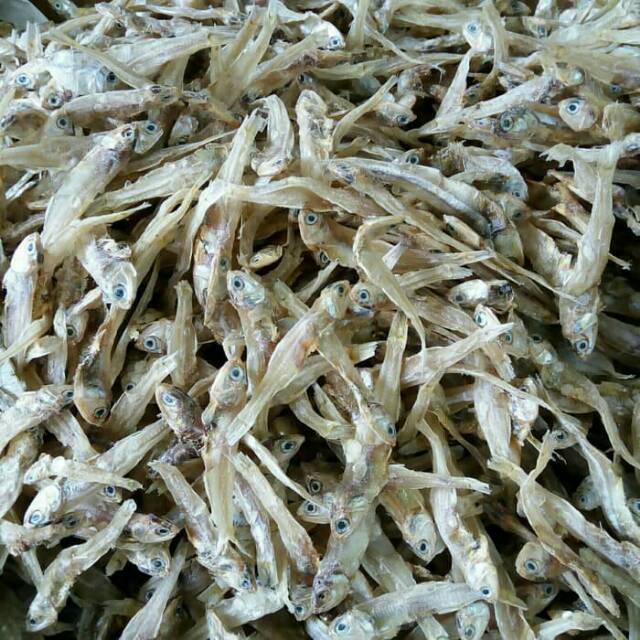 

Ikan teri