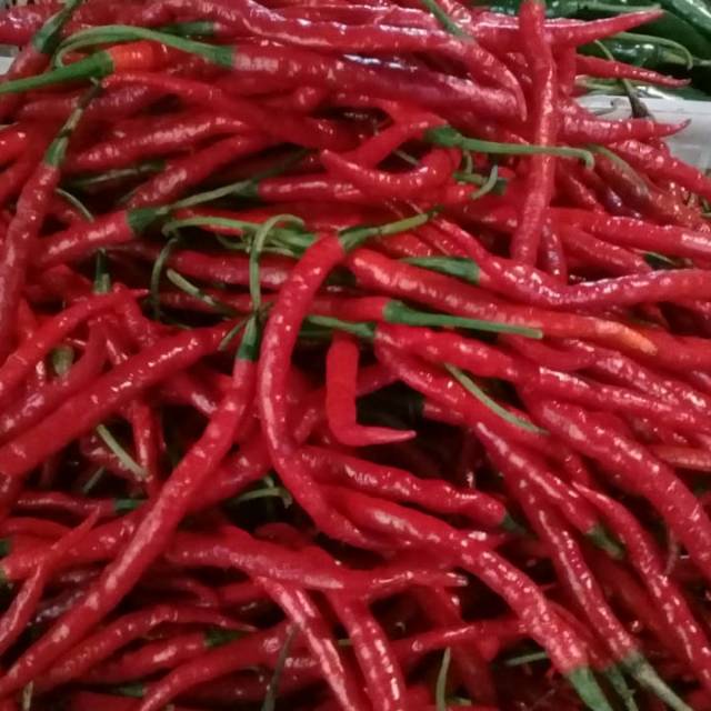 

CABE MERAH KERITING
