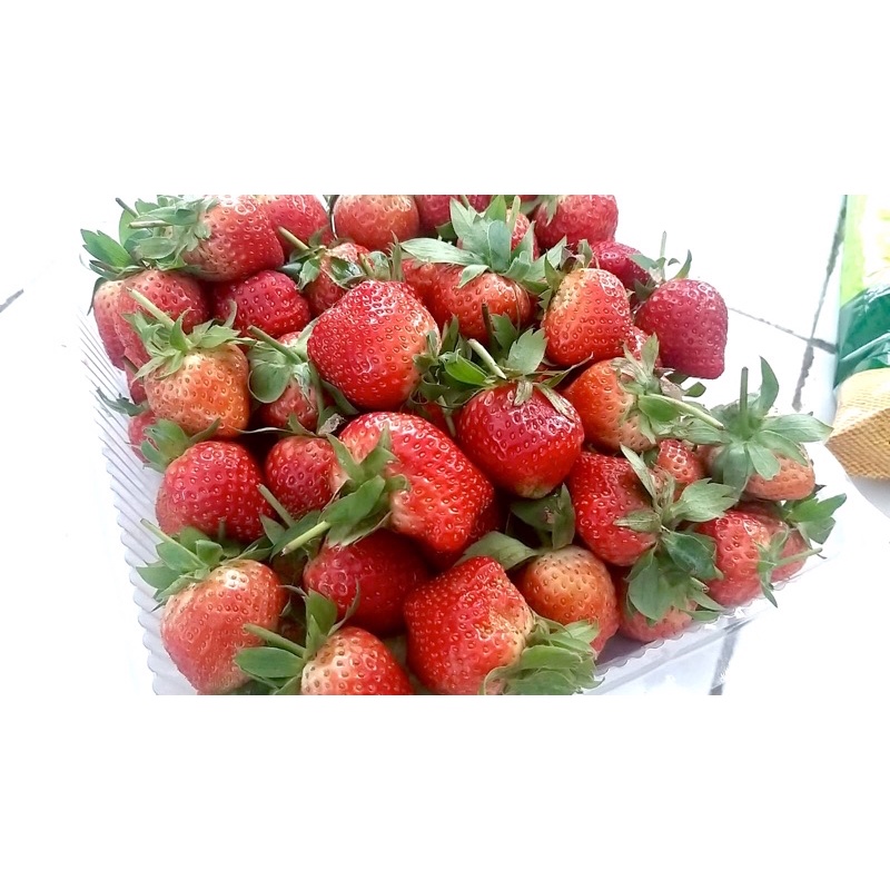 

Strawberry