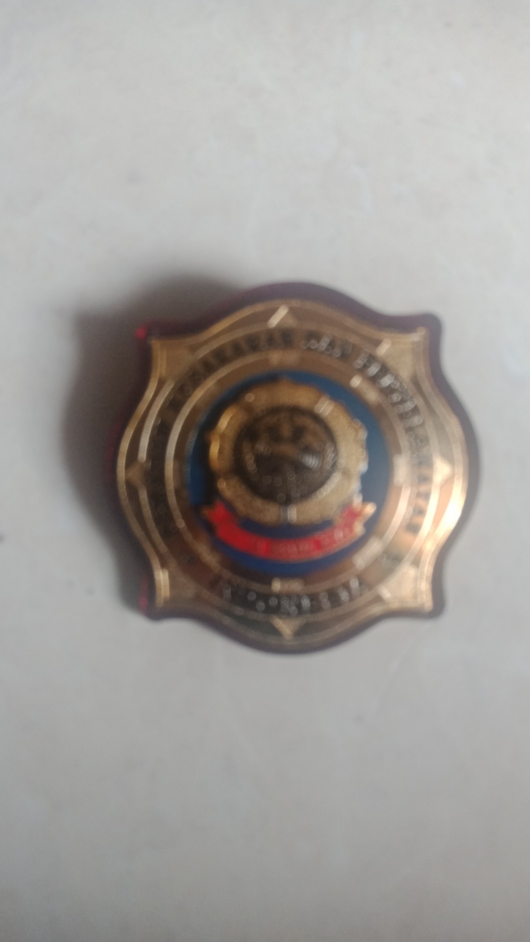 Lencana Pemadam Kebakaran Damkar