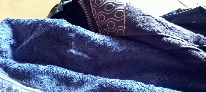 Rc Terry Palmer Handuk Mandi Signature 70x140cm / Handuk Mandi Dewasa / Handuk Mandi Tebal