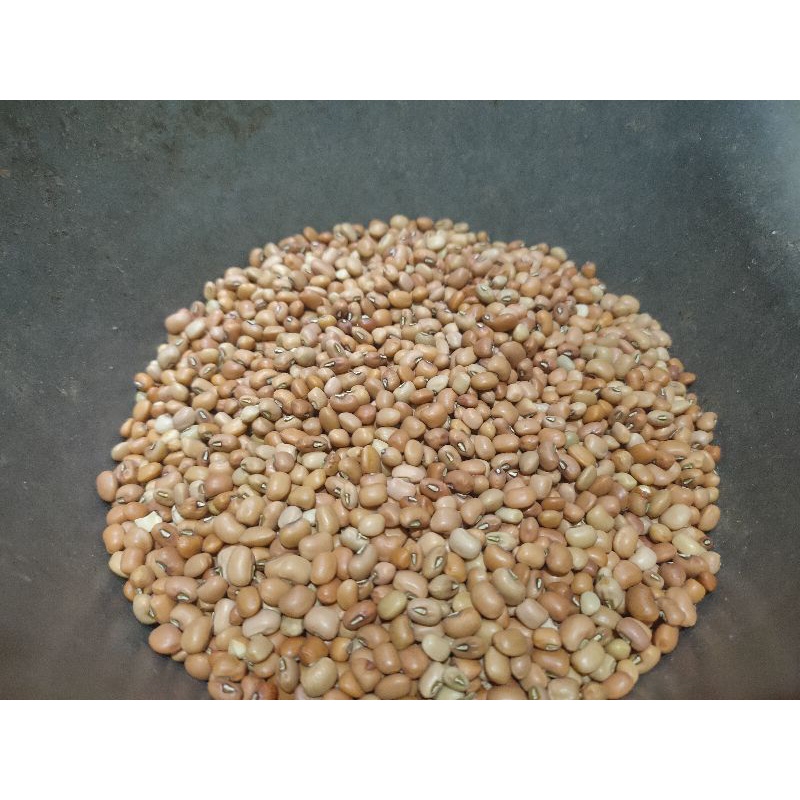 

Kacang tolo/kacang tunggak bersih 250g