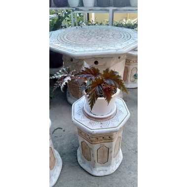 Tanaman hias daun bunga begonia Rex Red Cherry walet/Spider/Gifron serratipetala