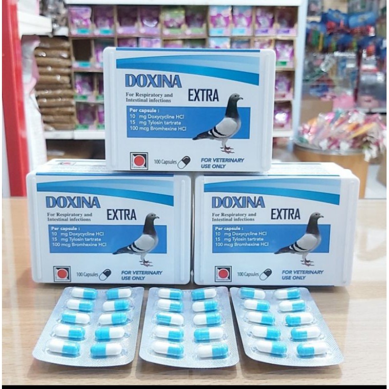 Doxina Extra 10 kapsul Anti Implamasi/Expektoran/Anti Biotik Burung