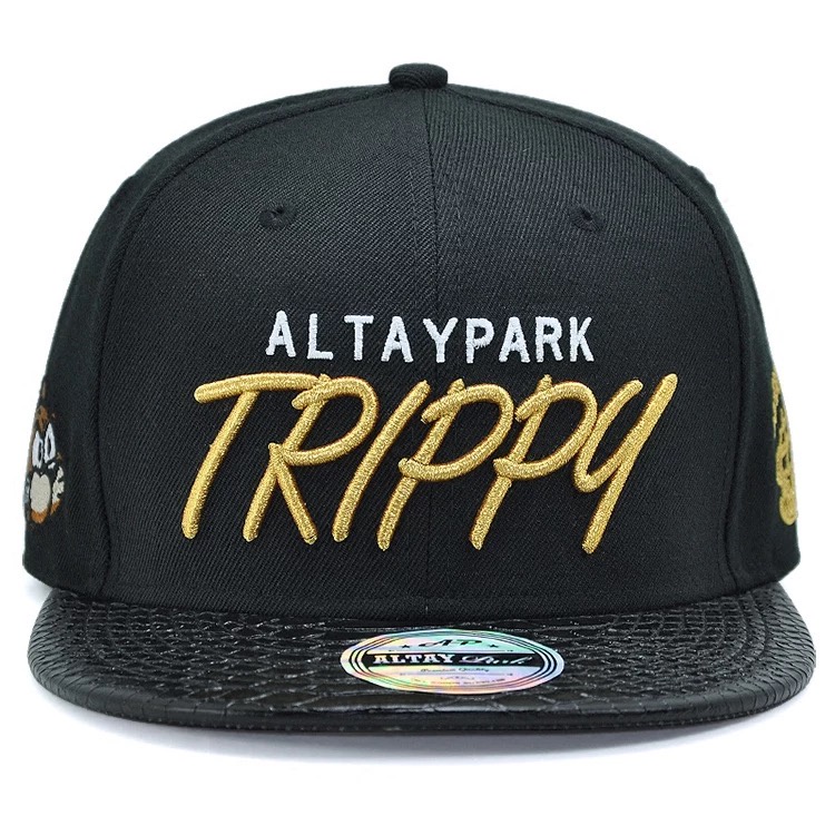 Topi baseball snapback cayler Dan sons Untuk pria Dan Wanita