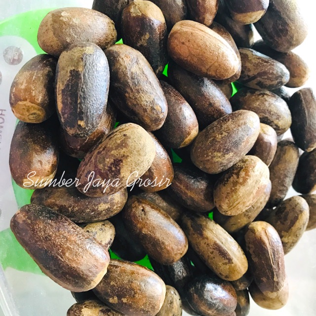 

BIJI PALA REMPAH DAPUR 50 GR (NUTMEG)