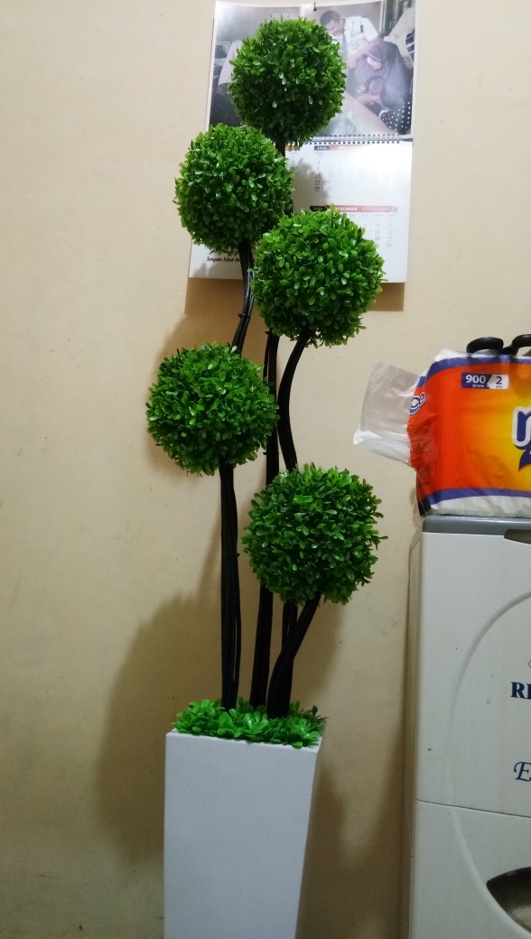 Bonsai Sudut / Bunga Sudut