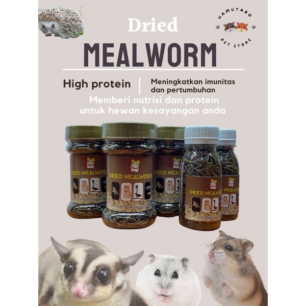 Ulat Hongkong Kering untuk hamster landak Sg ikan arwarna dried Mealworm