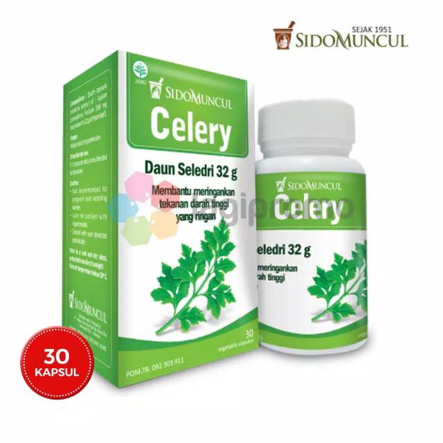 Sidomuncul Celery 30 Kapsul Obat Darah Tinggi